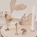 see more listings in the Tutto section