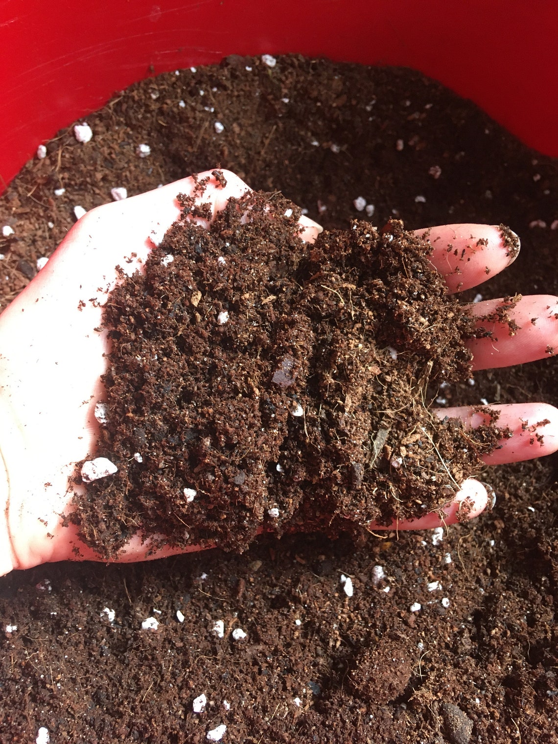 Premium specialist terrarium and house plant soil mix 1L Etsy