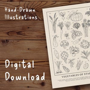 May include: A digital download print featuring hand-drawn illustrations of various vegetables. The print includes a pumpkin, carrots, and other produce, with the text "Vegetables of Stardew" at the bottom. The words "Hand-Drawn Illustrations" and "Digital Download" are also visible.