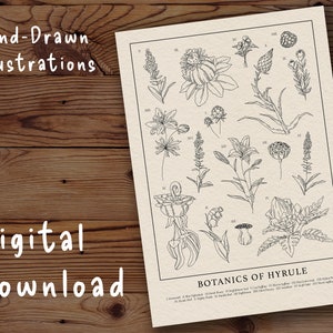 Botanik von Hyrule - DIGITAL DOWNLOAD | Zelda Tränen des Königreichs | Botanisches Cottage Biologie Lehrbuch Vintage inspirierte Illustration Drucke