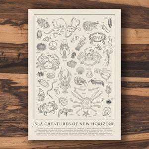 May include: A black and white line drawing illustration of sea creatures from the Animal Crossing: New Horizons video game. The illustration includes a variety of sea creatures, including a lobster, crab, seahorse, and starfish. The illustration is labelled with the names of each creature and their corresponding numbers.
