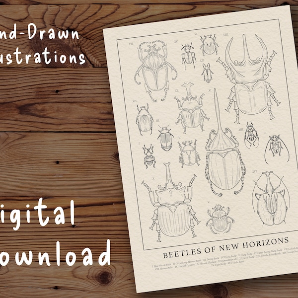 Impresión de Escarabajos de Nuevos Horizontes de Animal Crossing: Ilustración de biología vintage (Descarga digital)