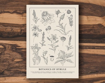 Botanics of Hyrule - Black and White | Vintage Botanical Legend of Zelda TOTK Tears of the Kingdom A5 / A4 / 50x70 Print