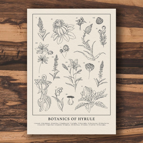 Botanics of Hyrule - Black and White | Vintage Botanical Legend of Zelda TOTK Tears of the Kingdom A5 / A4 / 50x70 Print