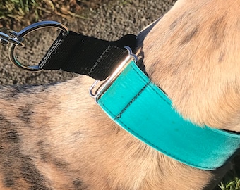Martingale dog collar 2” for walking greyhound sighthound lurcher