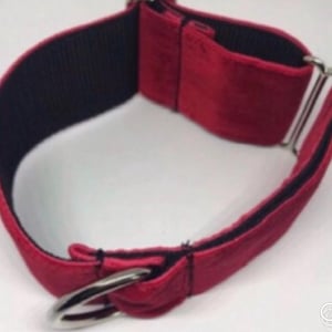 Pu&ograve; includere: Un ampio collare per cani in velluto rosso con una fodera interna in nastro di nylon nero. Il collare include un anello a D in metallo argentato per agganciare il guinzaglio e fibbie scorrevoli in metallo argentato per regolare la circonferenza.