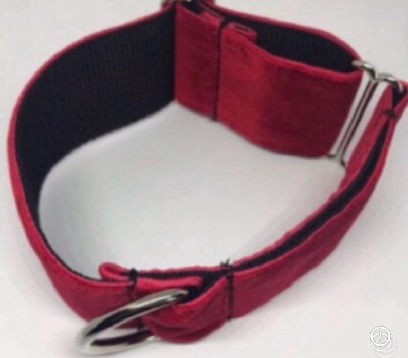 Pu&ograve; includere: Un ampio collare per cani in velluto rosso con una fodera interna in nastro di nylon nero. Il collare include un anello a D in metallo argentato per agganciare il guinzaglio e fibbie scorrevoli in metallo argentato per regolare la circonferenza.