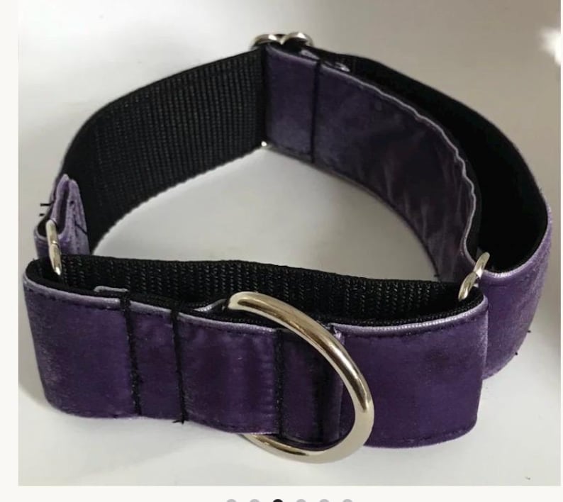 Pu&ograve; includere: Un collare per animali in velluto viola con una fodera interna in nastro di nylon nero. Il collare include un anello a D in metallo argentato per l'aggancio e una fibbia scorrevole regolabile in metallo argentato abbinata per la chiusura.
