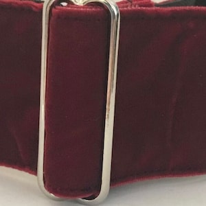 Pode incluir: Um close-up de uma coleira de cachorro de veludo bordô com uma fivela de metal prateado. A coleira é de cor vermelha escura e parece macia ao toque. As ferragens de metal são brilhantes e contrastam com o veludo.