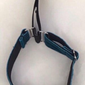 Pu&ograve; includere: Una cinghia regolabile color blu ottanio con fodera interna nera, dotata di componenti metallici color argento, inclusi cursori e un gancio di connessione centrale. La cinghia &egrave; disposta in forma circolare con un passante verticale extra.