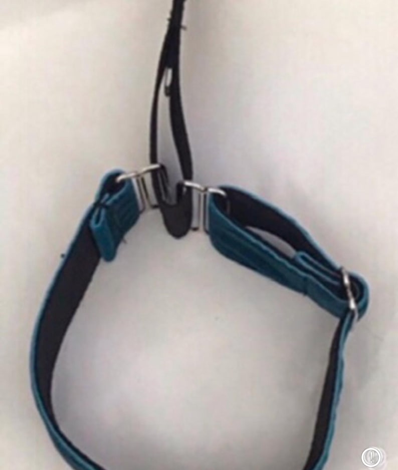 Pu&ograve; includere: Una cinghia regolabile color blu ottanio con fodera interna nera, dotata di componenti metallici color argento, inclusi cursori e un gancio di connessione centrale. La cinghia &egrave; disposta in forma circolare con un passante verticale extra.