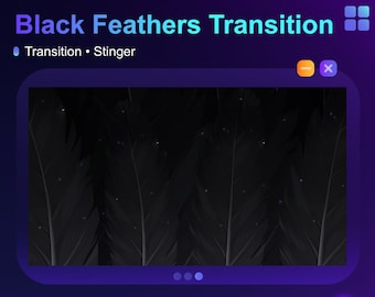 Black Crow Feathers | Animated Transition | Stinger | Stream Animation | Overlay | Vtuber | Goth | Witch • Streaming Assets for streamers