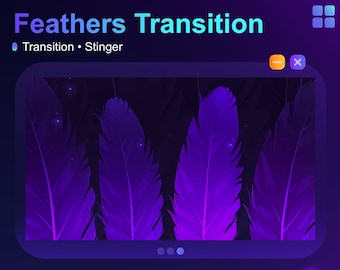 Purple Crow Feathers | Animated Transition | Stinger | Stream Animation | Overlay | Vtuber | Goth | Witch • Streaming Assets for streamers