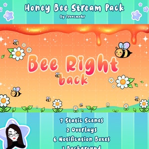 Cute Bee Honey Stream Pack, Scenes, Overlays and Boxes for streaming on Twitch