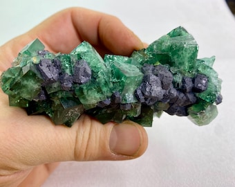 Könnte beinhalten: Ein Cluster aus grünen Fluoritkristallen mit schwarzen Galena-Einschlüssen. Die Fluoritkristalle sind scharf und gut ausgebildet, mit einem glasartigen Glanz. Die Galena-Einschlüsse sind über den Fluorit verteilt und verleihen dem Stück ein kontrastierendes Element.