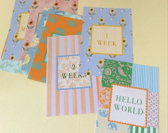 Baby Milestone Cards - Soft Woodblock/ Milestones set/ Travel illustration/ Indian Woodblock/