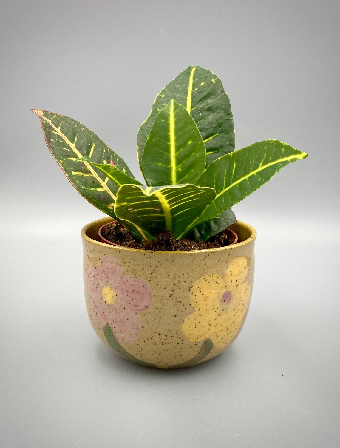 Little Yellow Flower Pot Etsy