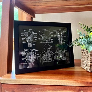 SLP Voice and Respiratory Anatomy Posters