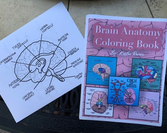 脳の解剖学ぬり絵