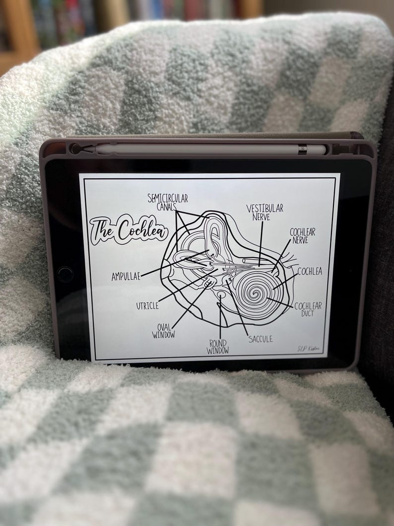 以下が含まれることがあります： 人間の内耳の白黒のイラストで、"The Cochlea"、"半規管"、"前庭神経"、"蝸牛神経"、"膨大部"、"卵形嚢"、"卵円窓"、"円窓"、"球形嚢"、"蝸牛管"などの解剖学的用語でラベル付けされています。