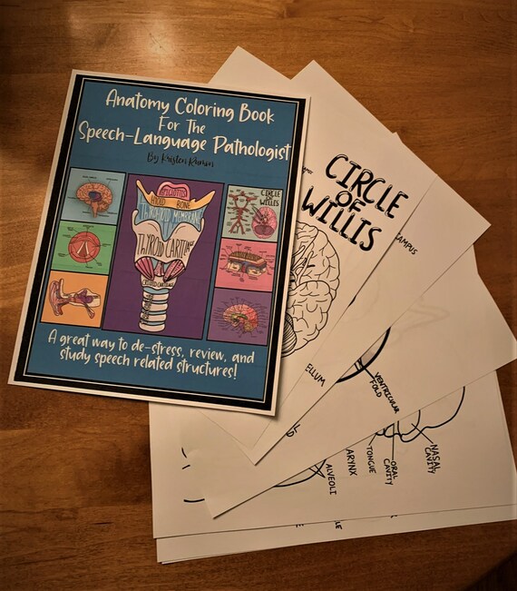 Download Anatomy Coloring Book For The Speech Language Pathologist Etsy