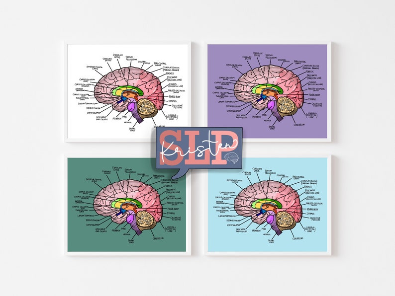 Saggital Cut Labelled Brain Posters-instant DOWNLOAD - Etsy