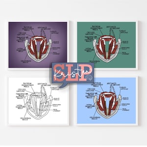 Superior Larynx Posters-INSTANT DOWNLOAD