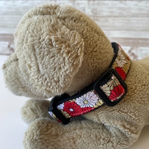 Traditional Japanese pattern dog collar - Iwaigiku (chrysanthemum)