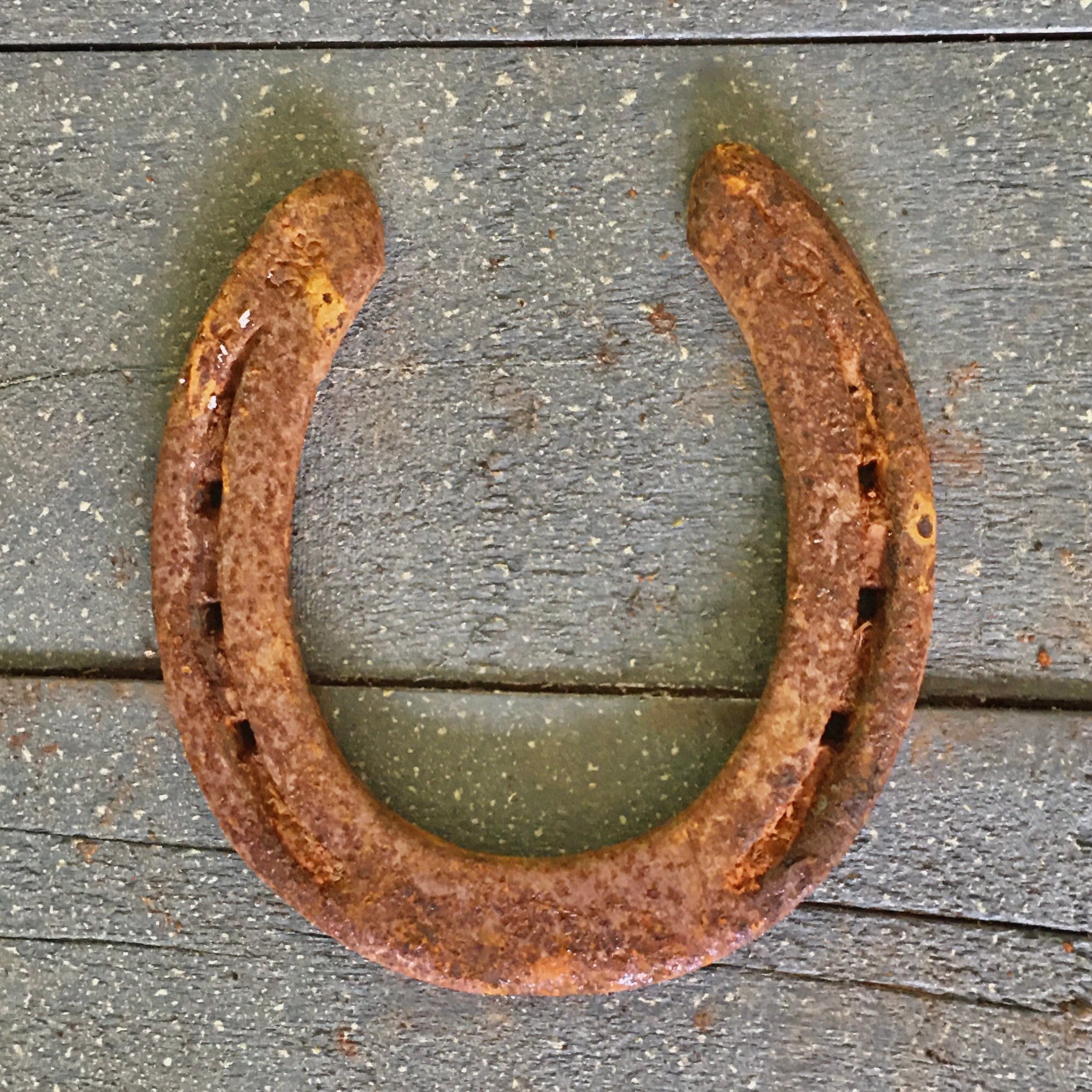 Single Used Horseshoes or Bulk Lots Etsy