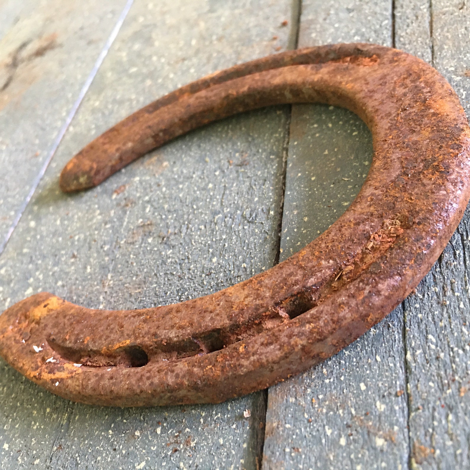 Single Used Horseshoes or Bulk Lots Etsy