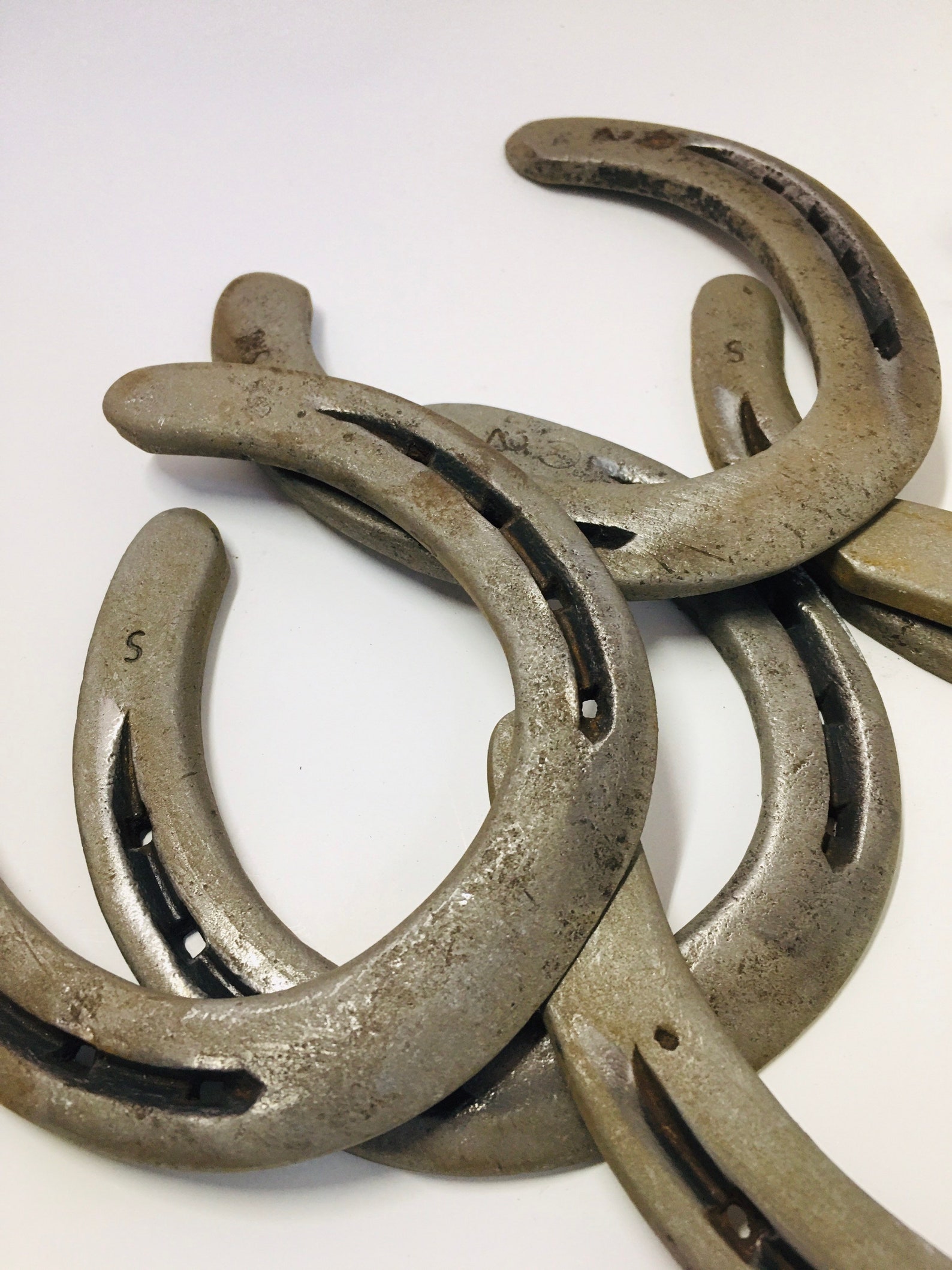 Precleaned Used Horseshoes. Etsy