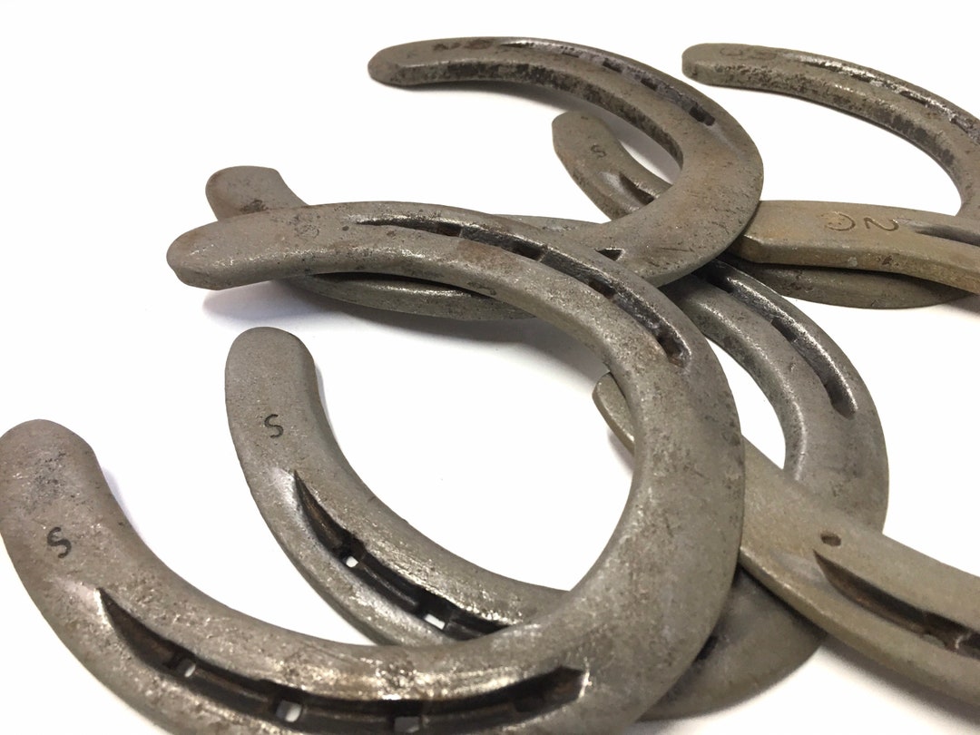 Precleaned Used Horseshoes Single and Bulk Etsy