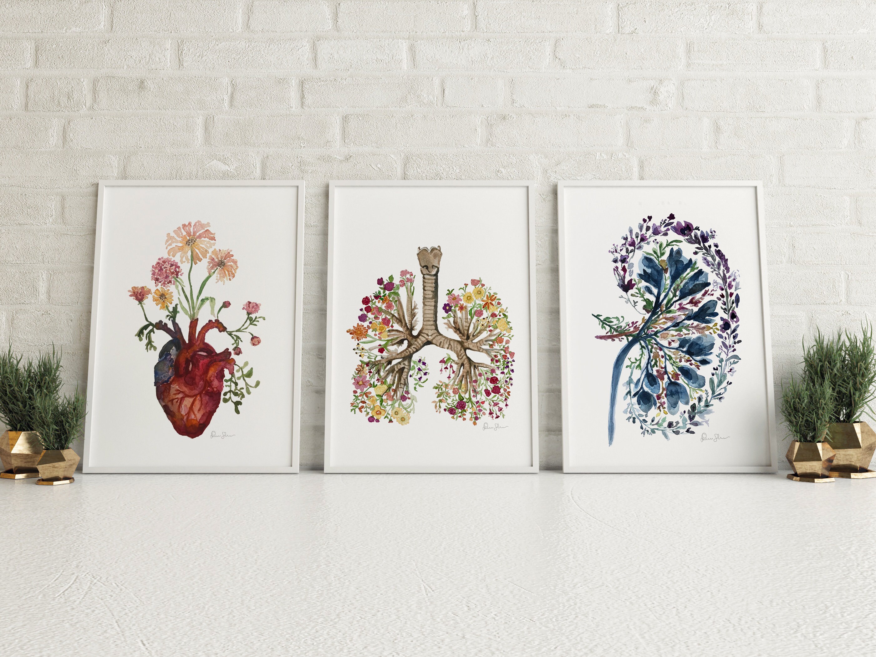花柄の腎臓の水彩画プリント – 医学解剖学アート - Etsy 日本