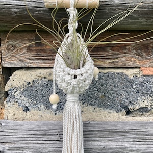 Luftpflanzenhalter / Tillandsia / Makramee Wandbehang / Boho Dekor / Geschenk zur Wohnungserwärmung / Boho Wandbehang / GEBURTSTAGsgeschenk