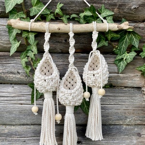 3 in 1 / Lucht plantenhouder / Tillandsia / Macrame wandhanger / Boho Decor / Housewarming CADEAU / Boho wandhanger / VERJAARDAGSCADEAU