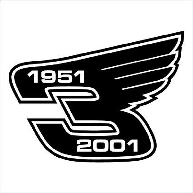 3 Dale Earnhardt Racing Nascar Sticker Decal Etsy