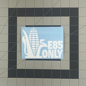 May include: White vinyl sticker with a corn stalk and the text "E85 ONLY".