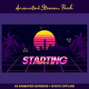 Sunset Synthwave Animated Stream-paket: För Twitch Overlay, YouTube, Kick, Facecam, Alerts, Retro Overlay bild 9