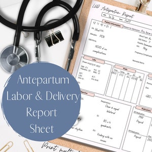 Labor and Delivery Antepartum Report Sheet / Digital Download