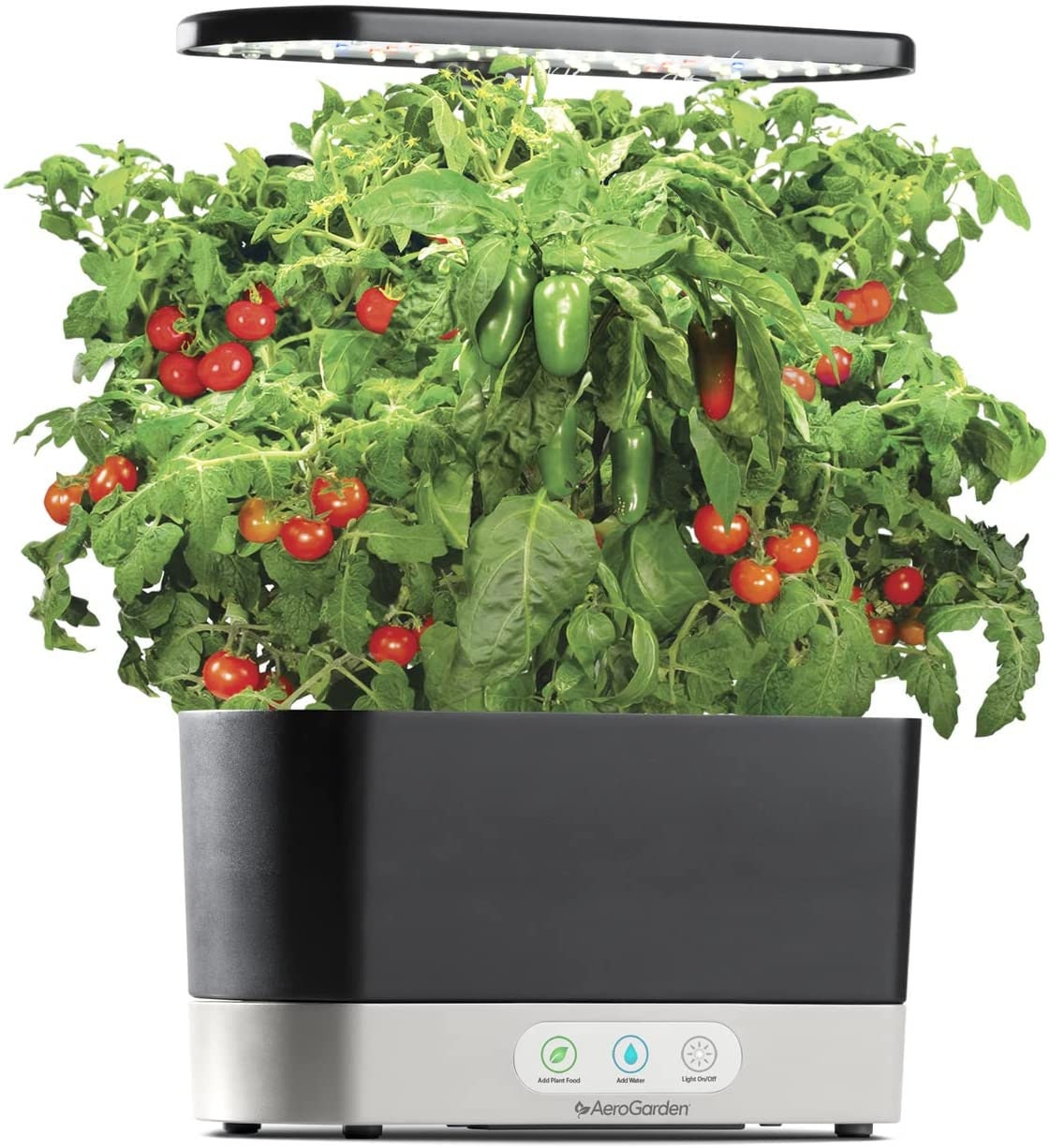 How to Turbocharge Tomato Growth for a Speedy Harvest