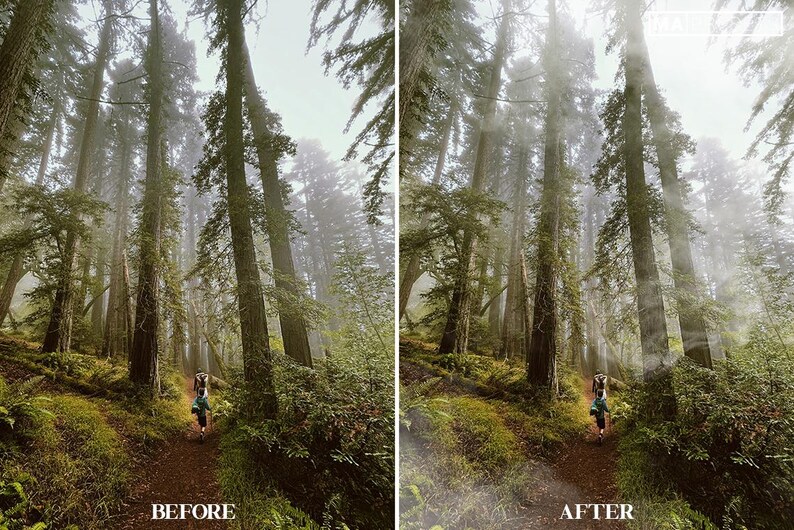 100 FOG OVERLAYS | Realistic Fog and Mist Effects, Moody Landscape