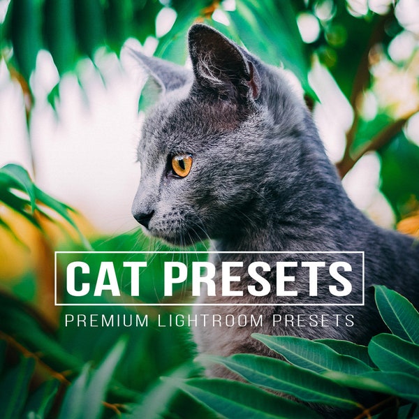 10 KATZE Lightroom Desktop und Desktop Voreinstellungen | Haustierliebhaber, Hund und Katze Fotobearbeitungsfilter für Instagram, Tier Preset für Blogger