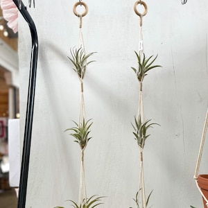 Triple Air Plant Hanger