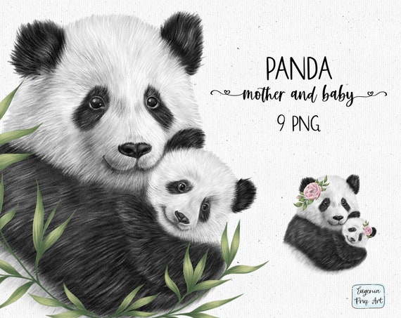 Panda Clipart Mother And Baby Panda Clipart Panda Png Etsy