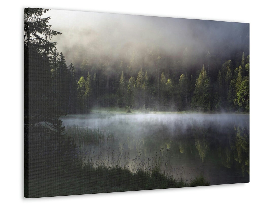 Foggy Forest Wall Art Green Forest Art, Foggy Lake Canvas Print Forest