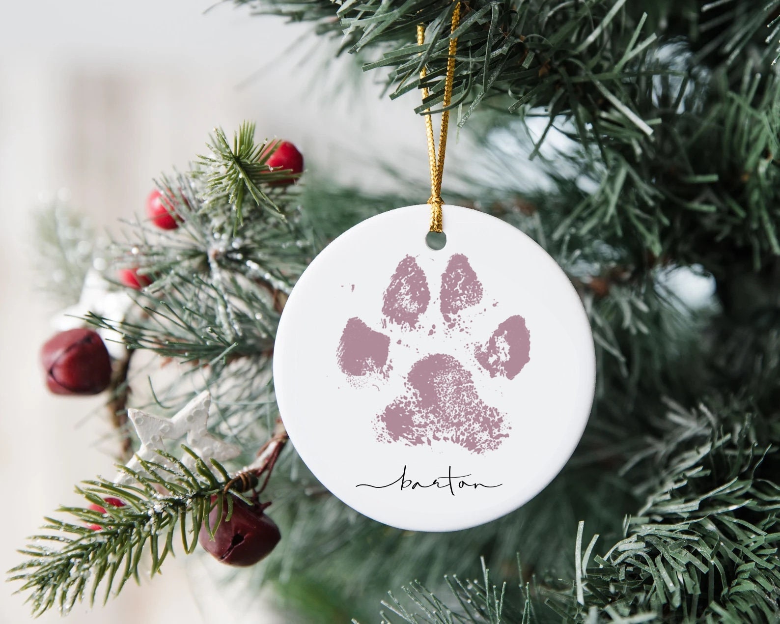 DIY Paw Print Ornament Gift pack