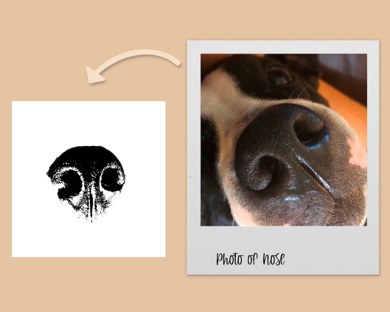 Custom nose print pet loss print, pet loss gift, pet adoption gift, memorial gift, sentimental gift, pet wall decor, dog mom, paw print image 4