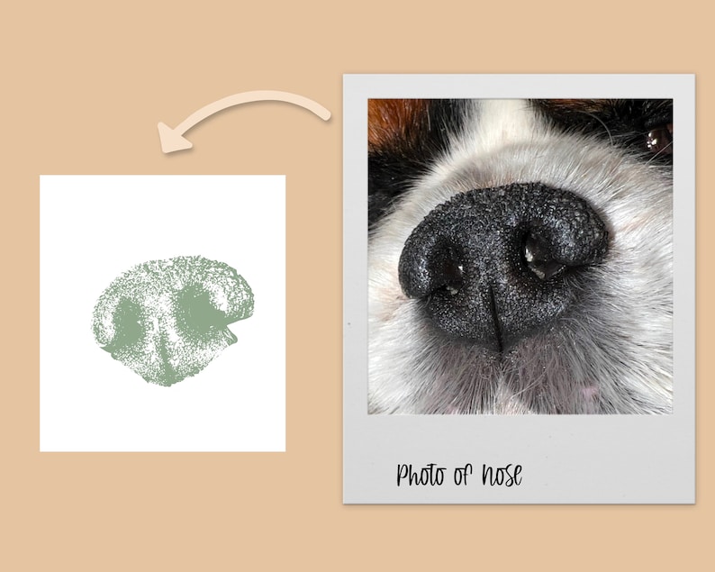 Custom nose print pet loss print, pet loss gift, pet adoption gift, memorial gift, sentimental gift, pet wall decor, dog mom, paw print image 3