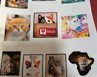 Large cute Lamenated kitty Sticker sheet