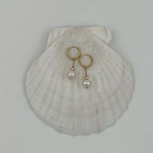 14k Gold Pearl Earrings